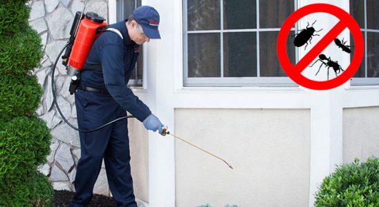 Serinhisar Kemirgen İlaçlama böcek ilaçlama ve haşere kontrolü — ilaclama-tr.com